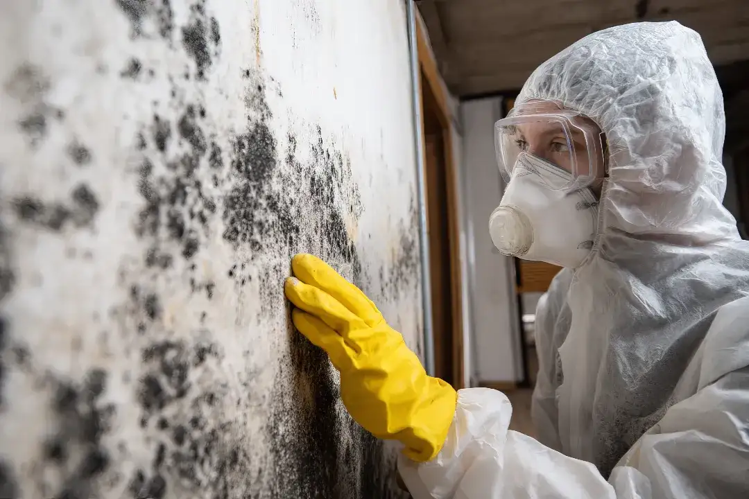 Building Inspections Hawthorn Building Inspections Hawthorn