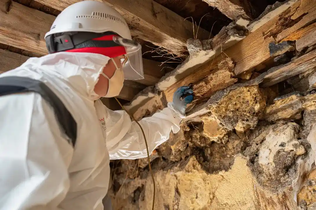 Building Inspections Kew